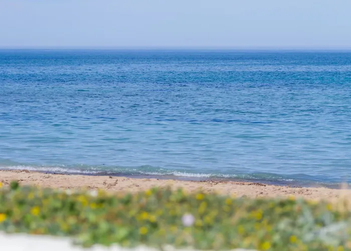 Golden Park Denia